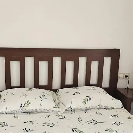 Apartment Atico Vetusta Oviedo